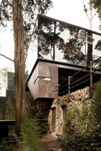 nowoczesny dom na wzgórzu w środku lasu