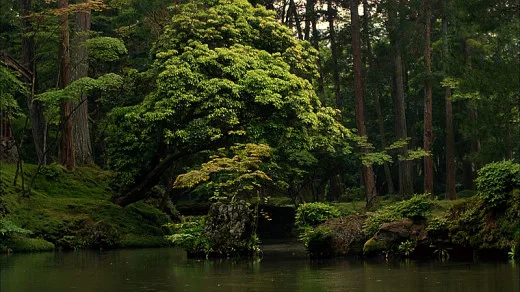 Ogród: Eden
