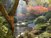 Tęcza na ziemi – moc kolorów w ogrodzie japońskim