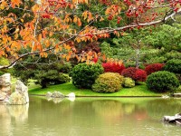 Japanese Gardens – projekt nr 1