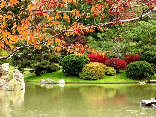 Japanese Gardens – projekt nr 1