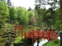 Japanese Gardens – projekt nr 2