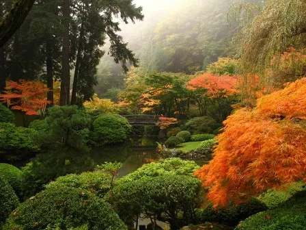 Trees of Majesty