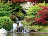 Japoński ogród Marii Holic