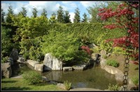 Życiodajna woda w ogrodzie japońskim doskonale komponuje się z barwami natury