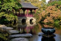 Ogród w stylu japońskim – widok z przepięknie wykonanego mostku nad jeziorem
