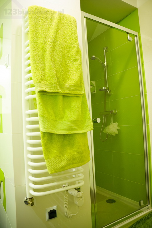 Wnęka prysznicowa, ręcznikowiec zielona łazienka